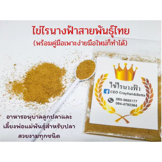 ไข่ไรนางฟ้าสิรินธรและไทย🧨​ค่าส่งถูก, ส่งทุกวัน🧨ไร​น้ำ​จืด​ อาหารสดอนุบาลลูกปลาอัตราการรอดสูง