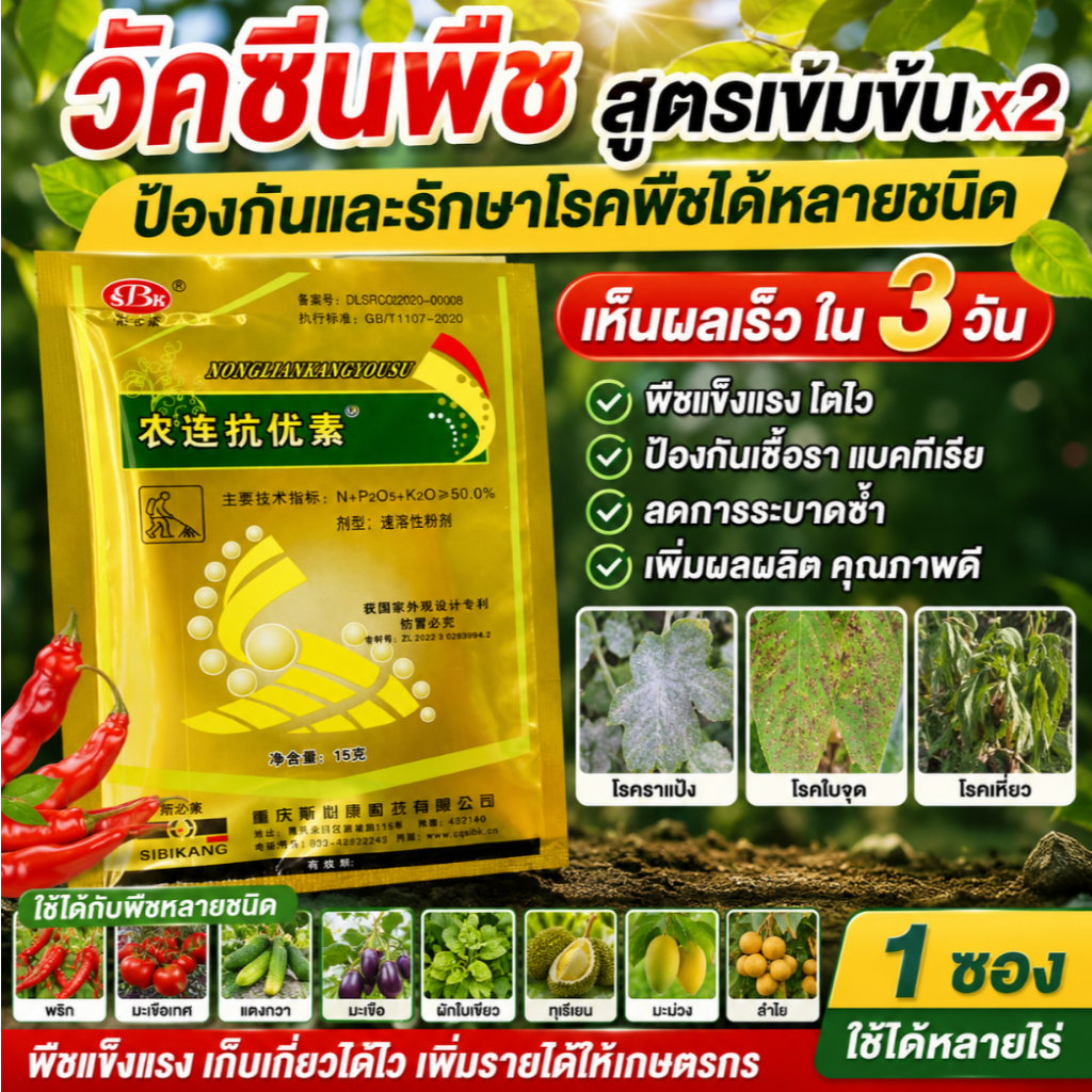 【วันนี้ 50% 】วัคซีนพืช ป้องกันโรคพริกเหี่ยว โรคราสีขาว โรครา โรคเน่า โรคใบจับจีบ โรคใบเหลือง โรคพริก และโรคเชื้อรา