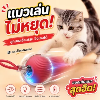 【พร้อมส่ง】ลูกบอลแมวอัจฉริยะ ของเล่นแมวไฟฟ้า วิ่งอัตโนมัติ USB Type-C ลูกบอลแมวอินเตอร์แอคทีฟ แมวเล่นเองได้ทั้งวัน