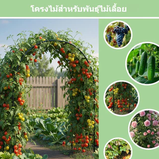 ซุ้มไม้เลื้อย โครงเหล็กแข็งแรง สำหรับปลูกกุหลาบ องุ่น ไม้เลื้อย ตกแต่งสวน งานแต่งงาน ใช้กลางแจ้งได้ ไม่เป็นสนิม