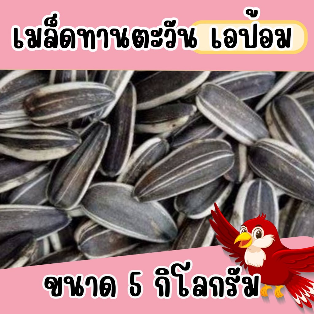 เมล็ดทานตะวันเอป้อม แบบแบ่ง 5 kg.