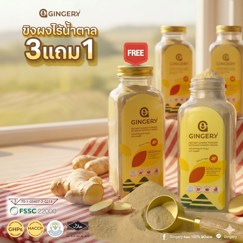 Gingery ขิงผง 100%ไร้น้ำตาล 250g. สดใหม่ (3 แถม 1)