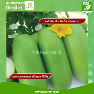 เมล็ดพันธุ์แฟงเพชรมณี ตราเจียไต๋ (50 กรัม)