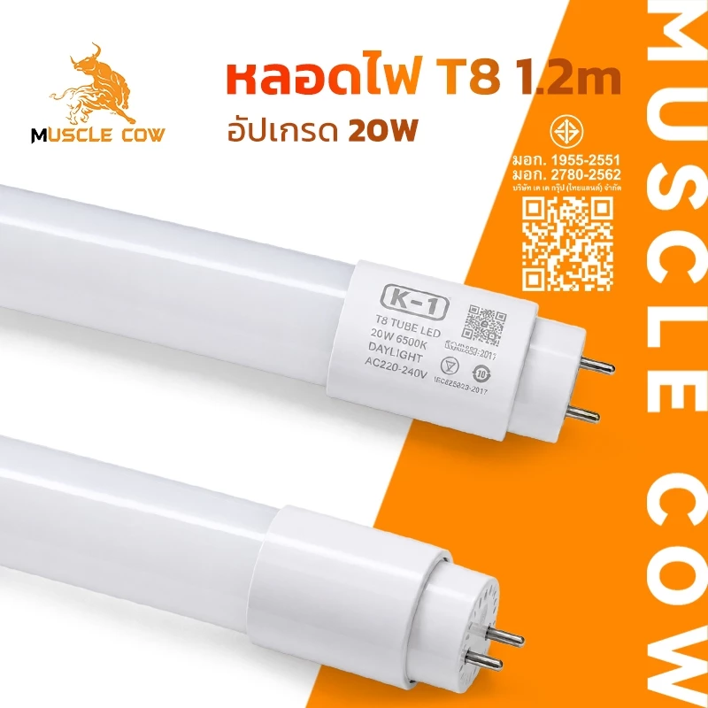 MUSCLE COW หลอดไฟ LED T8 1.2 เมตร 20W แสงขาว หลอดนีออน LED ประหยัดพลังงาน ใช้งานกับไฟ AC220-240V
