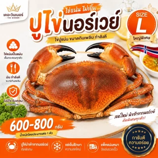 ปูขนมปังแช่แข็ง ตัวใหญ่ ไข่แน่น เปลือกบาง ขนาด 600-800 และ 800-1000 กรัม