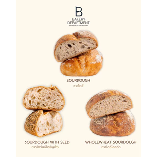 Whole Wheat Sourdough : ขนมปังโฮลวีทซาวโดว์