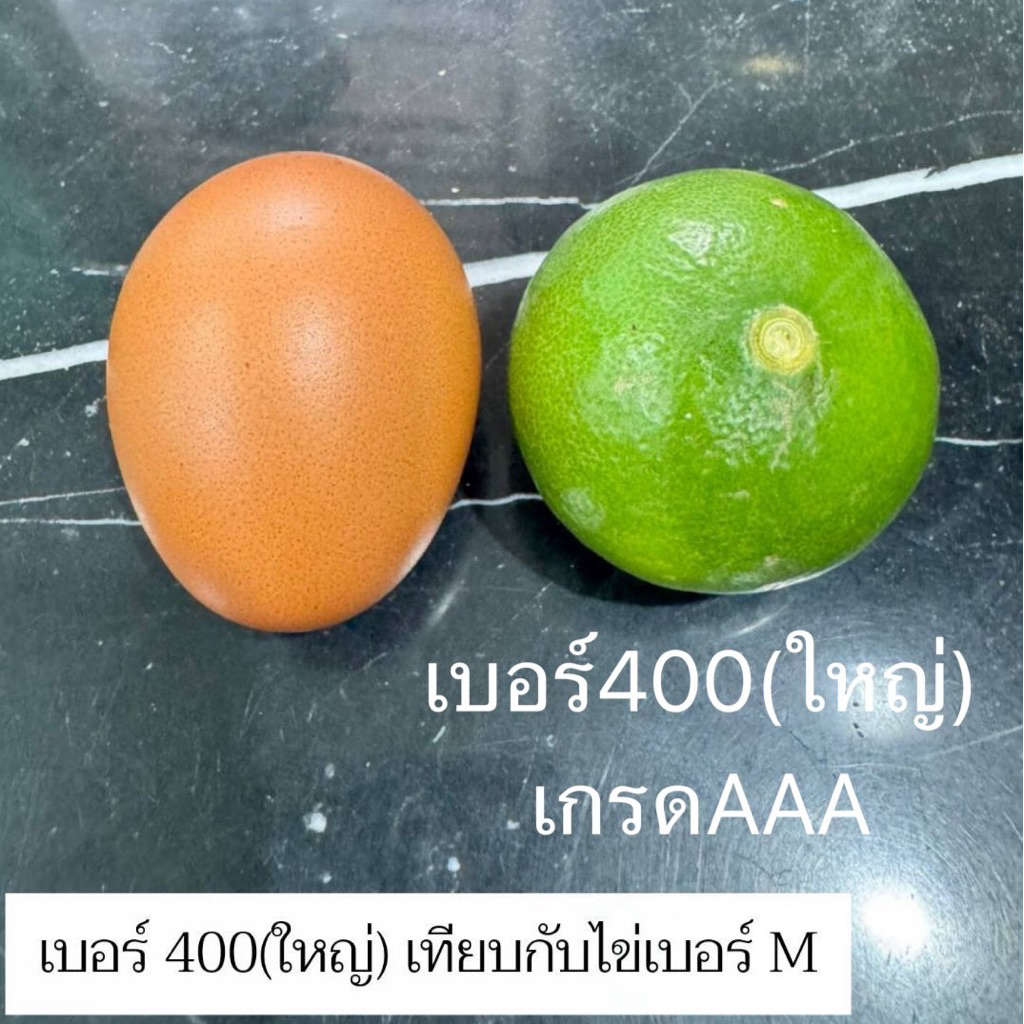 มะนาวแป้นสวนแท้ เกรดAAAเบอร์400(ใหญ่)สวย 1กิโล 18-25ลูก เปลือกบาง น้ำเยอะ หอม เก็บสดใหม่วันต่อวัน จากสวน ดำเนิน บ้านแพ้ว