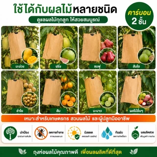 🥭พร้อมส่ง🥭ถุงห่อผลไม้คาร์บอน 100ใบ ถุงห่อมะม่วง ฝรั่ง ชมพู่ กันแมลง กันนก กันแดด กันฝน ผิวสวย ระบายอากาศดี 20x25/20x30