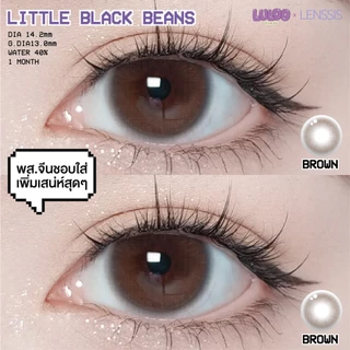 [ของแท้] คอนแทคเลนส์รายเดือน LULOO รุ่น Little Black Beans Brown ลิตเติ้ลแบล็คบีน บราวน์ ตาแบ๊ว สไตล์พ