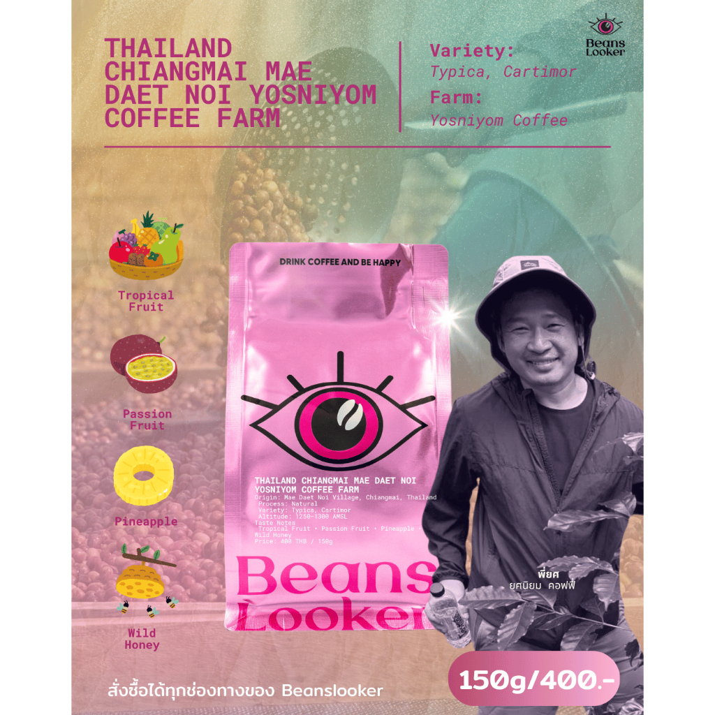 THAILAND CHIANGMAI MAE DAET NOI YOSNIYOM COFFEE FARM