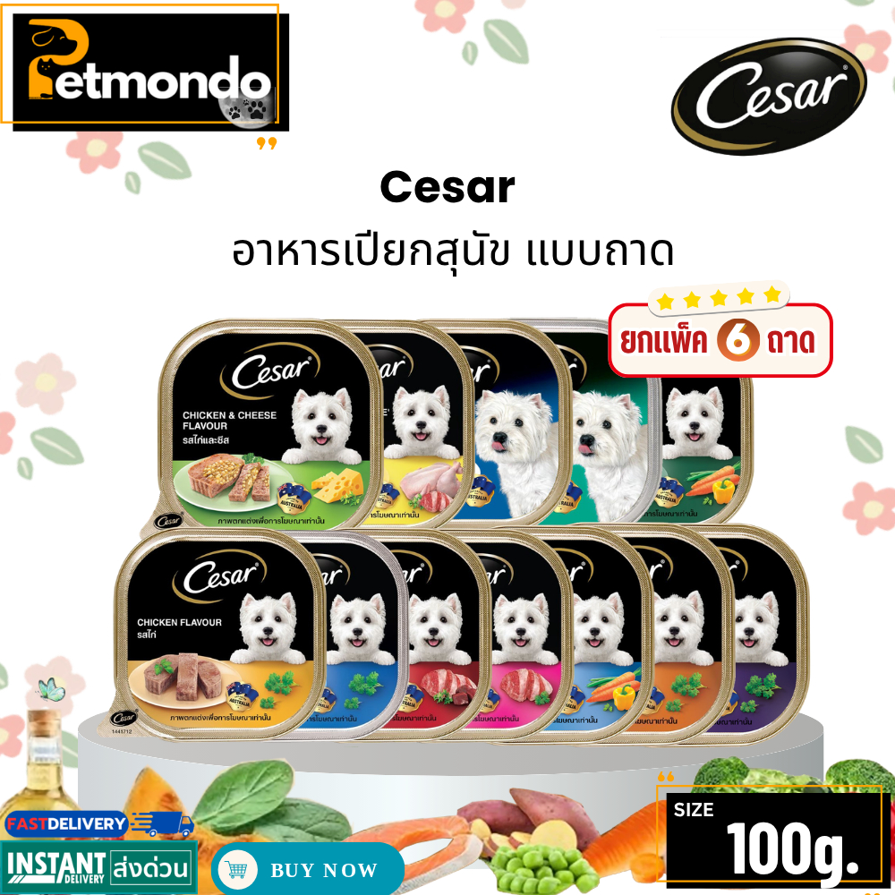 CESAR อาหารเปียกสุนัข แบบถาด ทุกรสชาติ 100g.  [แพ็ค 6 ถาด]
