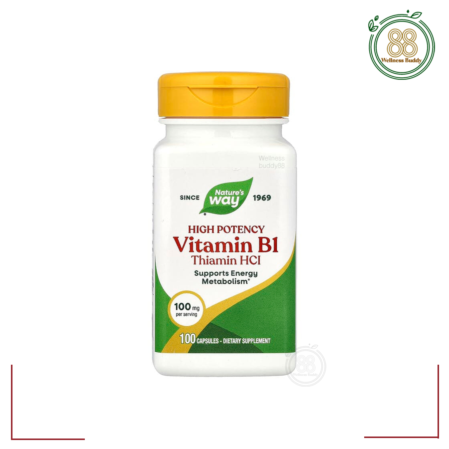 Nature's Way, Vitamin B1, 100 mg, 100 Capsules