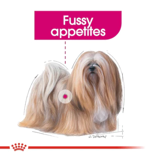 Royal canin MINI EXIGENT 1kg,3kg อาหารสุนัขโต พันธุ์เล็ก ช่างเลือกอาหาร ชนิดเม็ด
