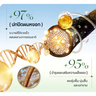 (10 แถม 10)ครีมย้อมผมฟองแอปเปิ้ล สารสกัดจากสมุนไพรของ Apple ให้ความคุ้มครองสีเทาสูงสุด 100%