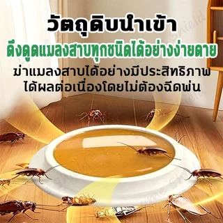 ยาฆ่าแมลงสาบ เหยื่อแมลงสาบ แพ็คคุ้ม กำจัดแมลงสาบ เห็นผลเร็ว