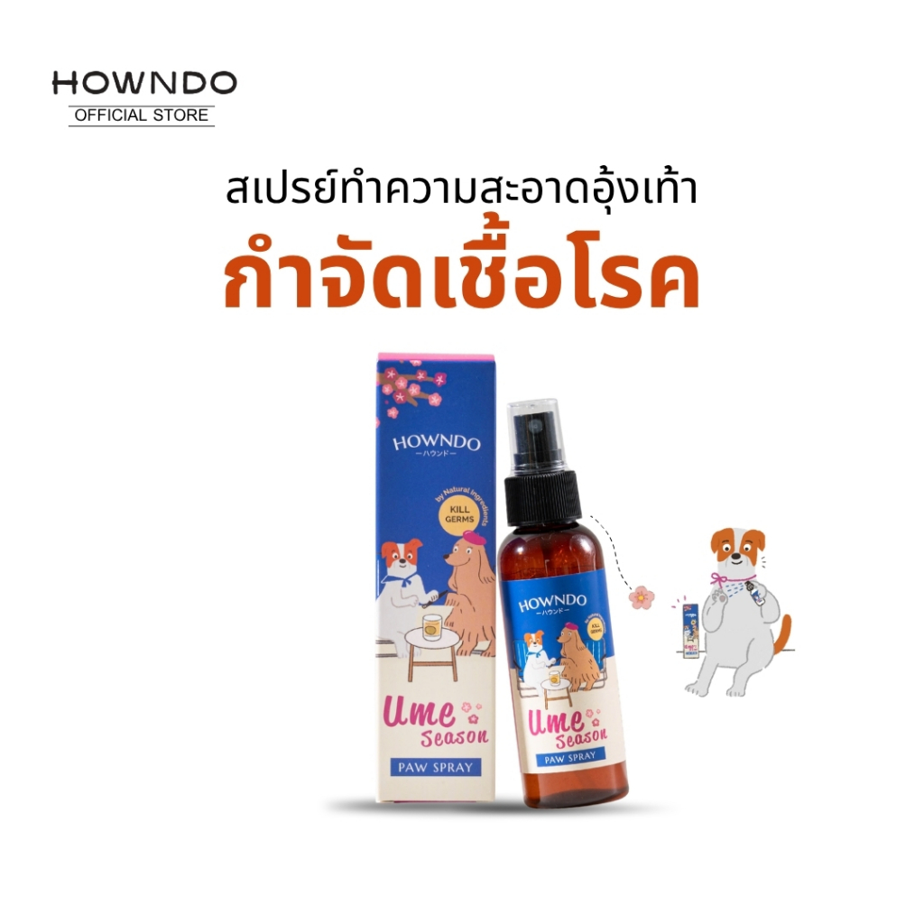 สเปรย์ทำความสะอาดอุ้งเท้าสุนัข กำจัดเชื้อโรค สุนัขคันเท้า คันตัวตาม (แบคทีเรียและไวรัส) | Howndo