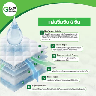 [KSG Official] ยกลัง 12 แพ็ค จีชัวร์พลัส แผ่นรองซับ ปัสสาวะ แผ่นกันเปื้อน แพ็ค 10 ชิ้น G Sure Plus Adult Disposable Pads