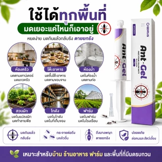 🐜พร้อมส่ง🐜Ant Gel เจลกำจัดมด กำจัดถึงรัง เห็นผลไว ปลอดภัย ใช้งานง่าย เจลล่อมด มดกินแล้วตายยกรัง ใช้ได้ทั้งบ้าน