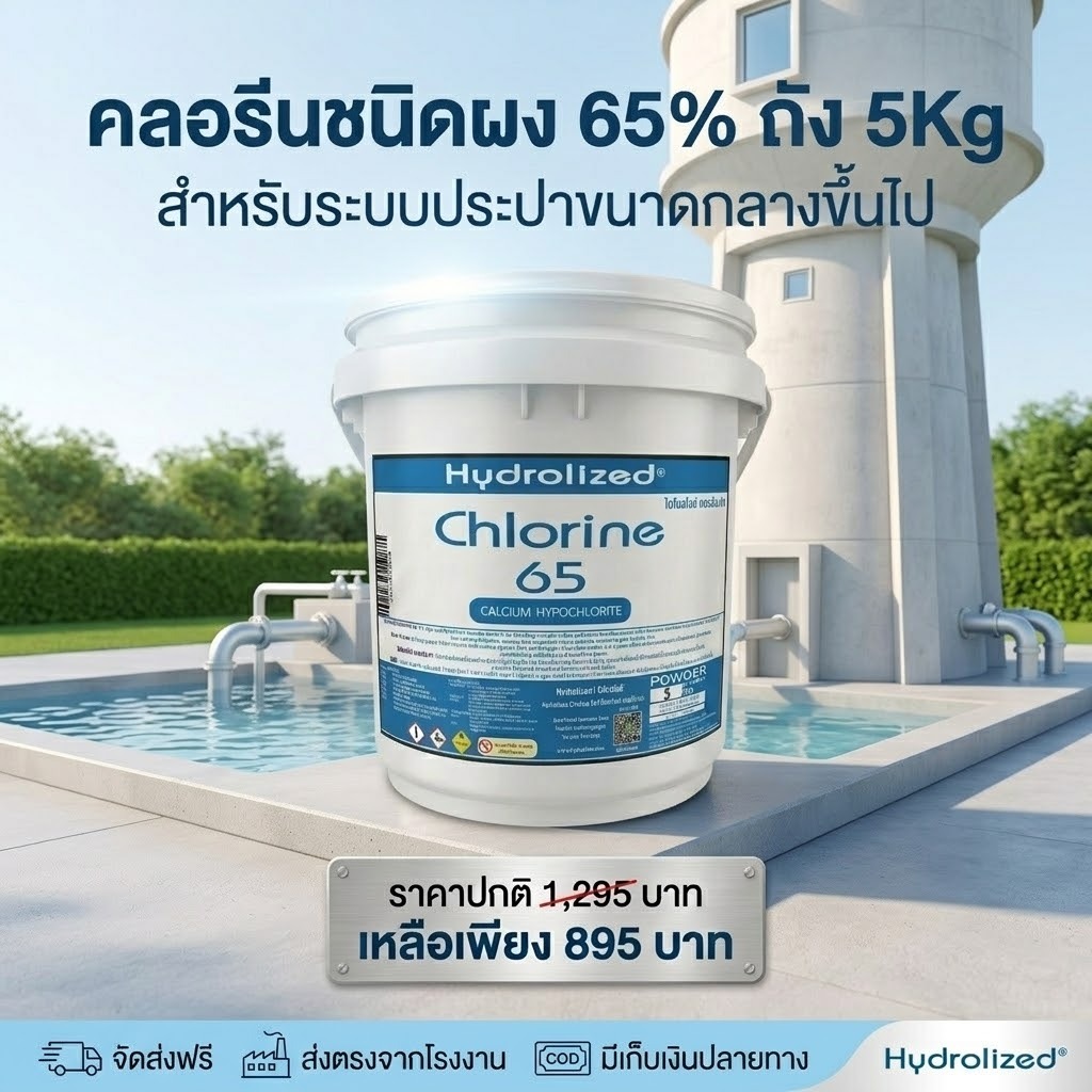 คลอรีนผง 65% ถัง 5Kg ฆ่าเชื้อโรคแบคทีเรีย ลดกลิ่นเหม็น สำหรับ ระบบประปาหมู่บ้าน ระบบประปาส่วนภูมิภาค ระบบประปานครหลวง