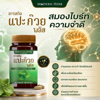 Modern Herb Ginkgo Extract Plus สารสกัดแปะก๊วย