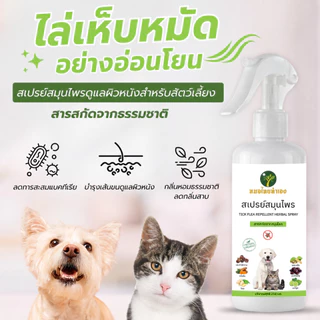 สเปรย์สมุนไพร ไล่เห็บหมัดสุนัข แมว Ticks Fleas ลดพฤติกรรมคัน อ่อนโยน 250 ml. หมอไทยทำเอง