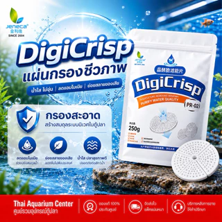 Jeneca DigiCrisp แผ่นกรองชีวภาพ ตัวช่วยเพิ่มพื้นที่แบคทีเรียดีในระบบกรอง ช่วยให้น้ำใส ลดแอมโมเนียและช่วยย่อยสลายของเสีย