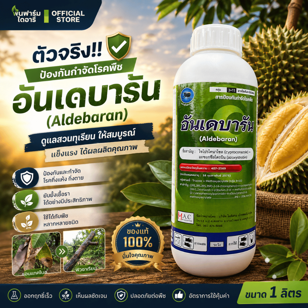 อันเดบารัน ไซโปรโคนาโซล+อะซอกซีสโตรบิน ป้องกัน กิ่งเเห้งจากฟิวซาเรียม ใบไหม้จากเเอนเเทรคโนส ทุเรียน