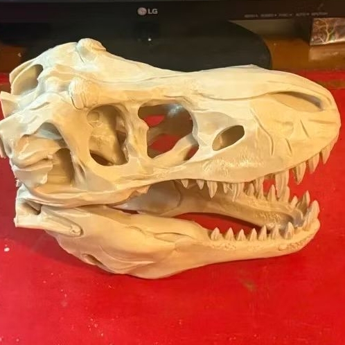 Dinosaur Skull 3D Print Replica — หัวกระดูกไดโนเสาร์ 3D Print