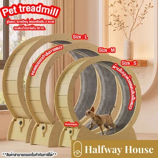 ลู่วิ่งแมว Cat Track ล้อวิ่งไม้ ของเล่นออกกำลังกายแมว ขนาดใหญ่ ติดตั้งง่าย ที่ออกกำลังกายสัตว์เลี้ยง Pet treadmill