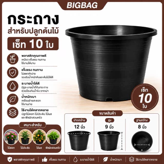 กระถางต้นไม้ ขนาด 12 นิ้ว เซ็ท 10 ใบ