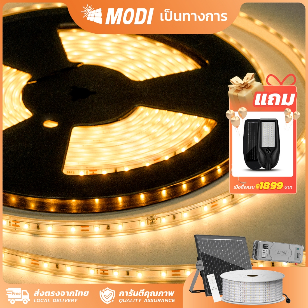 MODI ไฟเส้น ไฟริบบิ้นโซล่าเซลล์ ยาว10M20M30M50M ระบบสว่างค้าง กันน้ำIP65 ตกแต่งต้นไม้และสวน รั้วบ้าน