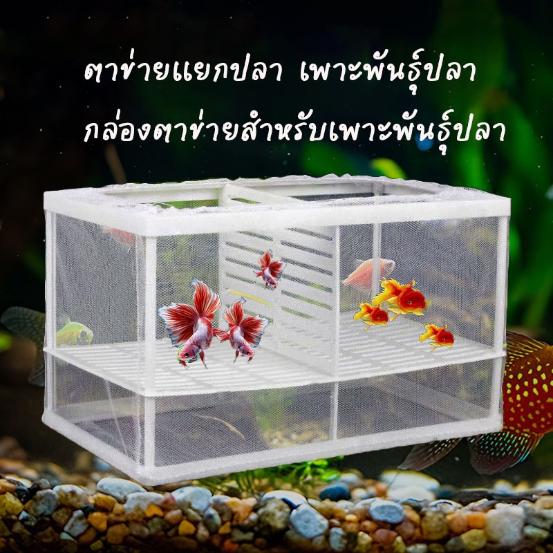 ตาข่ายเเยกปลา เพาะพันธุ์ปลา เเยกลูกปลา ปลาป่วย สัตว์น้ำขนาดเล็ก มีหลายแบบ มีช่องกั้น อุปกรณ์เลี้ยงปลา