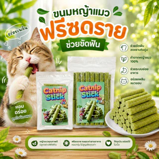 Thai.th ขนมหญ้าแมว ผลิตจากต้นอ่อนข้าวสาลี ช่วยขัดฟัน 1 ถุง บรรจุ 10 ชิ้น Catnip Sticks 10pcs