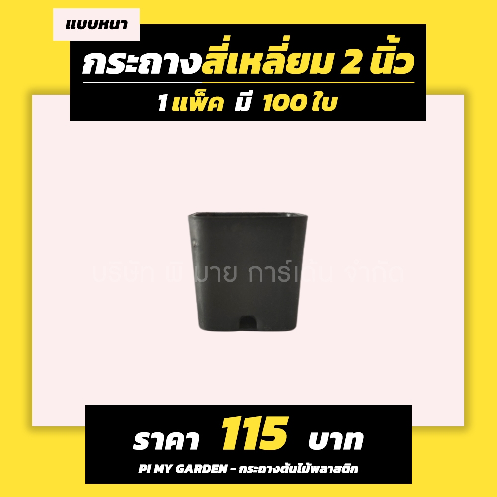 กระถางแคคตัส ทรงสี่เหลี่ยม 2 นิ้ว สีดำ แพ็ค 100 ใบ