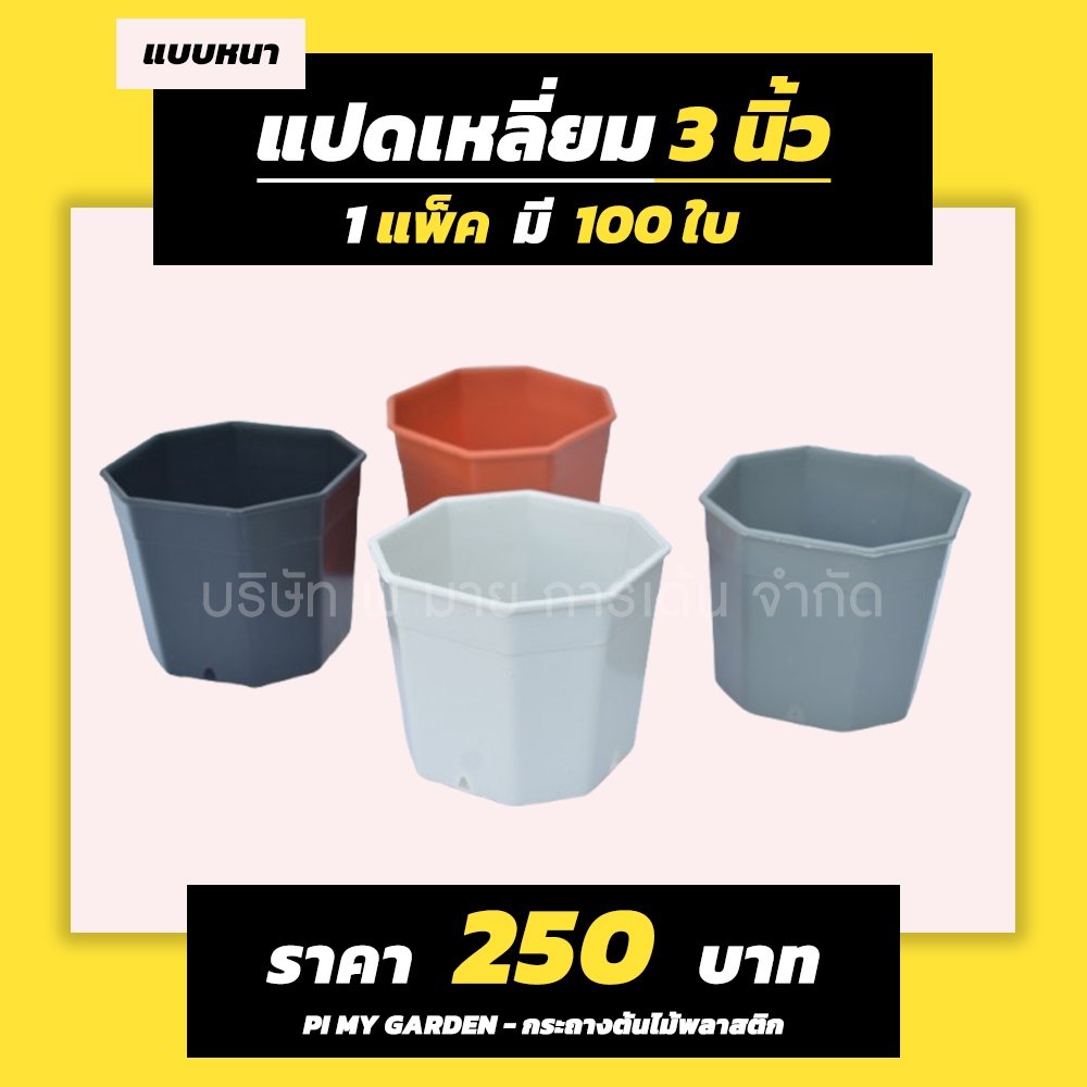 กระถางแคคตัส ทรงแปดเหลี่ยม 3 นิ้ว สีขาว สีดำ สีเทา สีอิฐ แพ็ค 100 ใบ