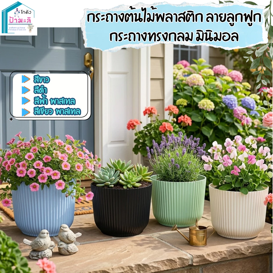 กระถางต้นไม้ กระถางลูกฟูก ทรงกลม ขนาด 10 และ 12 นิ้ว กระถางมินิมอล ออกแบบ น่ารัก