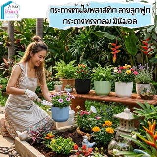 กระถางต้นไม้ กระถางลูกฟูก ทรงกลม ขนาด 10 และ 12 นิ้ว กระถางมินิมอล ออกแบบ น่ารัก