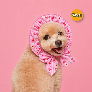 สินค้าพร้อมส่ง YUPPY! Snood For Dog and Cat ผ้าคลุมหูสัตว์เลี้ยง สำหรับ หมาและแมว เสื้อผ้าสัตว์เลี้ยง