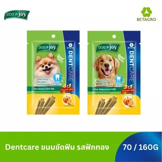 DOG n joy ด็อก เอ็นจอย ขนมสุนัขขัดฟัน เสริมวิตามิน Dent Care สำหรับสุนัขทุกวัย 10 ชิ้น (เลือกรสชาติและขนาดได้)