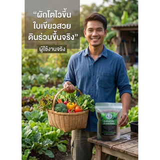 ปุ๋ยขี้นกกระทาแท้ 100% ปุ๋ยอินทรีย์ ปุ๋ยคอก บดละเอียด แห้งสนิท บำรุงดิน ผักสวนครัว ไม้ดอก ไม้ผล 1 กก. x 5 ถุง (5 กก.)