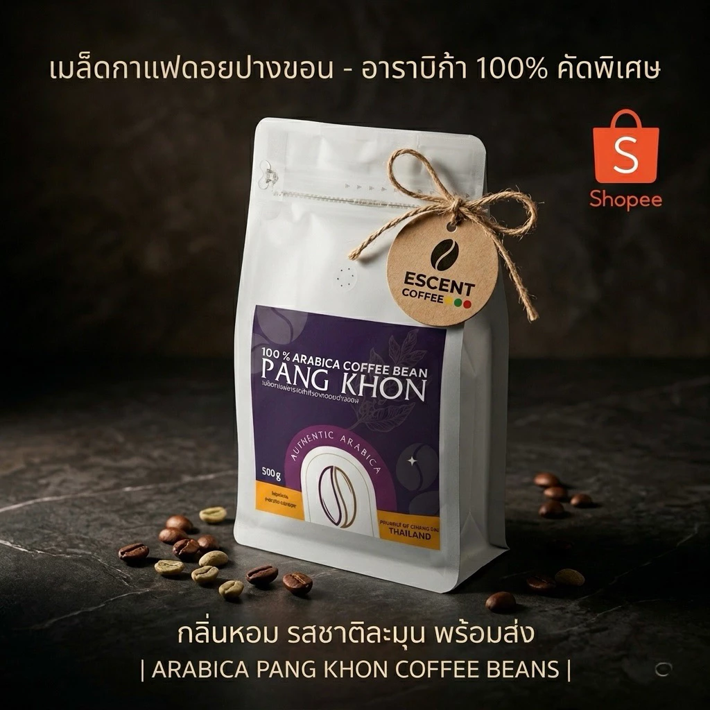 เมล็ดกาแฟอาราบิก้าแท้จากดอยปางขอน จังหวัดเชียงราย คัดสรรคุณภาพเยี่ยม