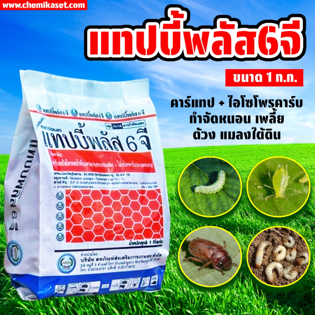 แทปบี้พลัส 6 จี ขนาด 1 ก.ก. คาร์แทปไฮโดรคลอไรด์+ไอโซโพรคาร์บ กำจัดแมลงในดิน แมลงปีกแข็ง