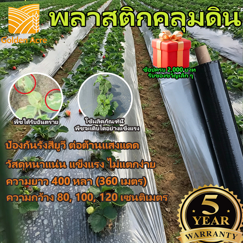 พลาสติกคลุมดิน ผสมUV พลาสติกดำเงิน กันวัชพืช สำหรับปลูกผักและผลไม้ COD จ่ายปลายทาง ขนาด 0.8ม. x 400หลา (360ม.)