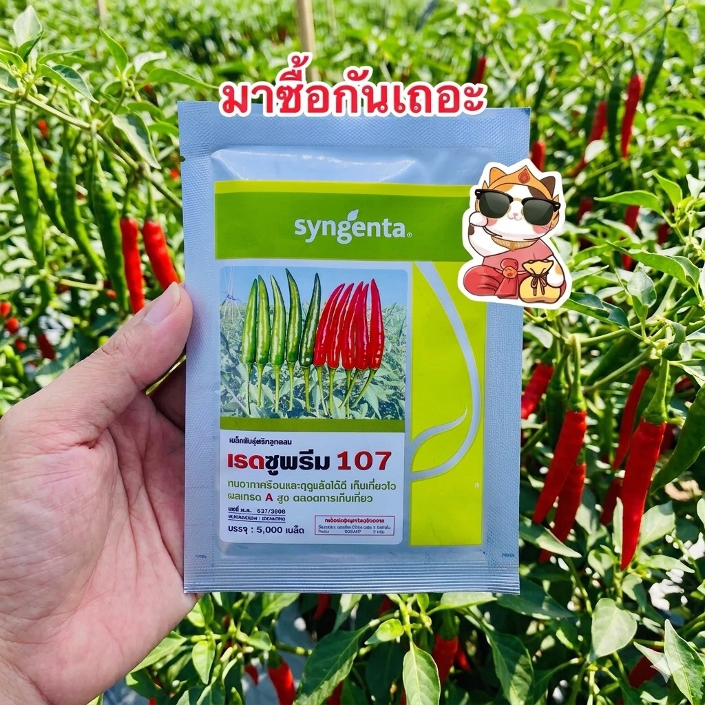 เรดซูพรีม 107 เมล็ดพันธุ์พริก บ.ซินเจนทรา (สิ้นอายุ11/70) บรรจุ25กรัม(5000เมล็ด)/ซอง