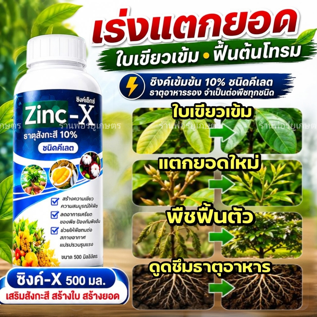 ซิงค์ สังกะสี 10% ของแท้ ธาตุอาหารรอง+เสริม ปุ๋ยน้ำ เร่งแตกยอด ใบเขียว ขนาด 500 ลิตร