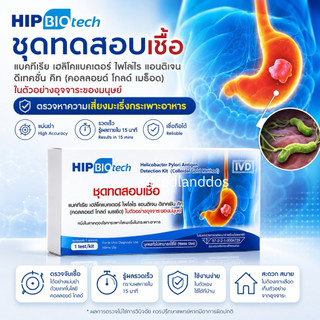 HIP Biotech ชุดตรวจ H.pylori เฮชไพโลไร ความเสี่ยงมะเร็งกระเพาะอาหาร โดยตรวจหาแอนติเจน ในอุจจาระ