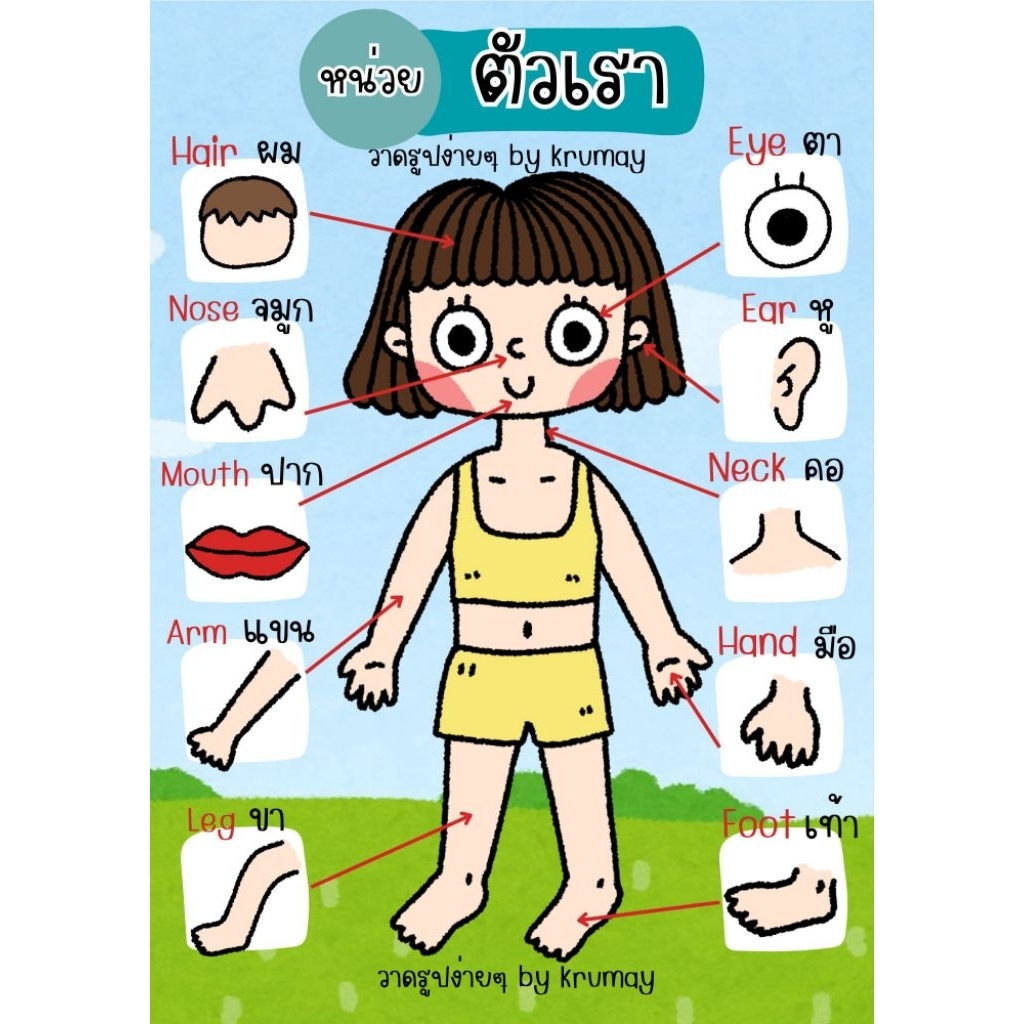 ป้ายนิเทศสำเร็จรูป หน่วยตัวเรา