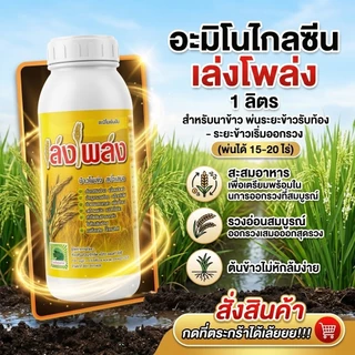 ฮอร์โมนนาข้าวลมเบ่ง เล่งโพล่ง บรรจุ1 ลิตร พ่นข้าวระยะรับท้อง-กลัดหางปลาทู ออกรวงเสมอ ข้าวไม่หักล้มง่าย เมล็ดเต่งเมล็ดใส