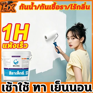 สีทาผนัง 3kg สีทาภายใน สีลาเท็กซ์ สีทาบ้านภายใน นิดด้าน ปกปิดดีเยี่ยม กันน้ำ กันรา ใช้ได้กับผนัง และเพดาน สีทาบ้าน สีทา