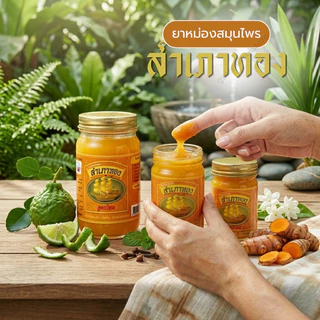 ยาหม่องสำเภาทอง 1 เซ็ท 6 ขวด และ 3 ขวด ขนาด50กรัม ยาหม่องนวด ยาหม่องเกลี่ยง่าย ซึบซับได้ดี